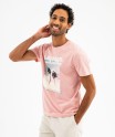 16WALAI rose